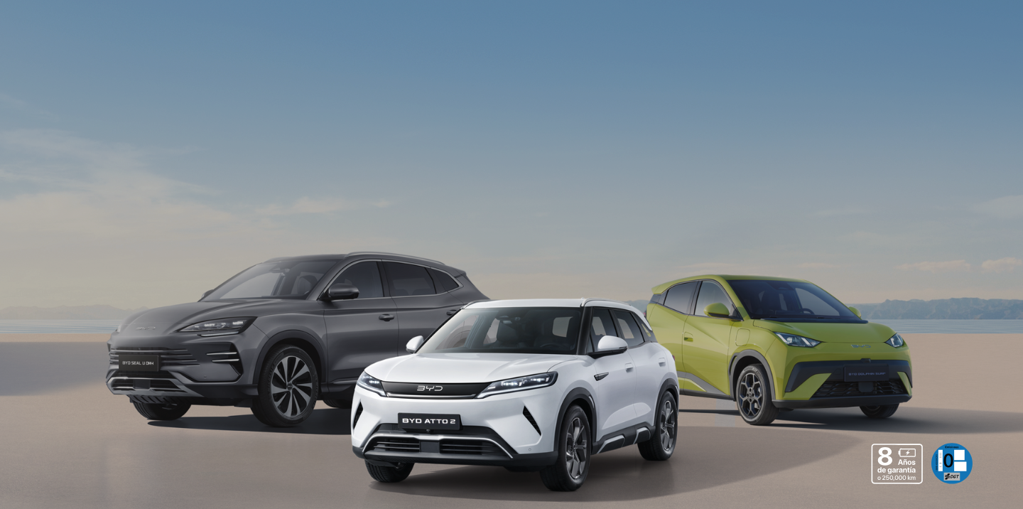 Nº1 EN COCHES ENCHUFABLES 2025