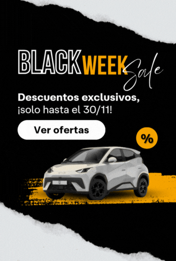 Banner 81 de campaña QUADIS