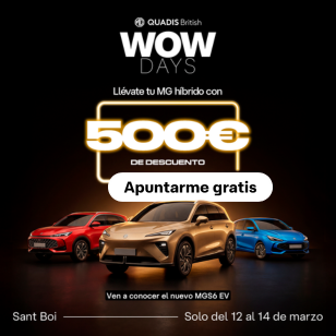 Banner 109 de campaña QUADIS