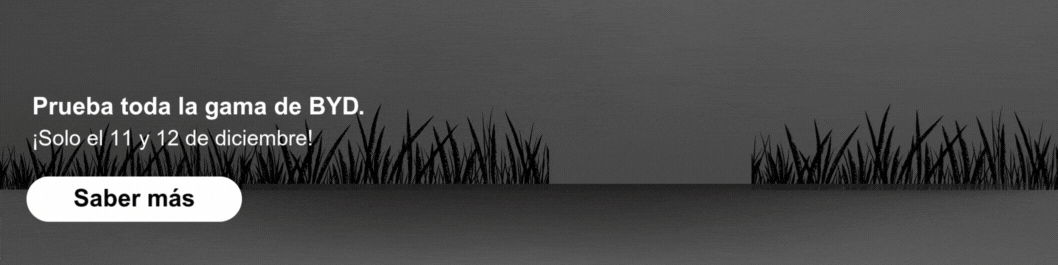 Test drive gama BYD 11 y 12 de diciembre