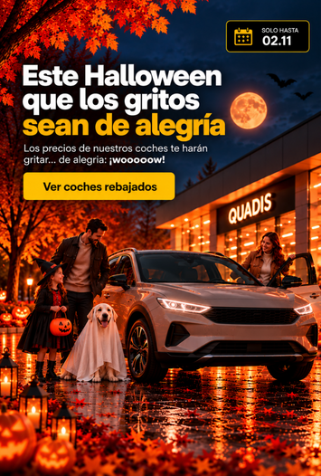 Banner 86 de campaña QUADIS