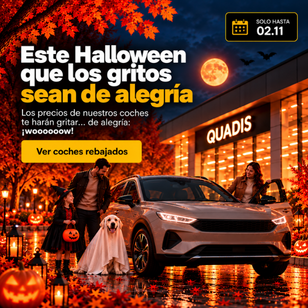 Banner 86 de campaña QUADIS