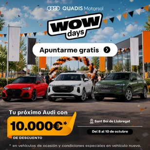 Banner 56 de campaña QUADIS