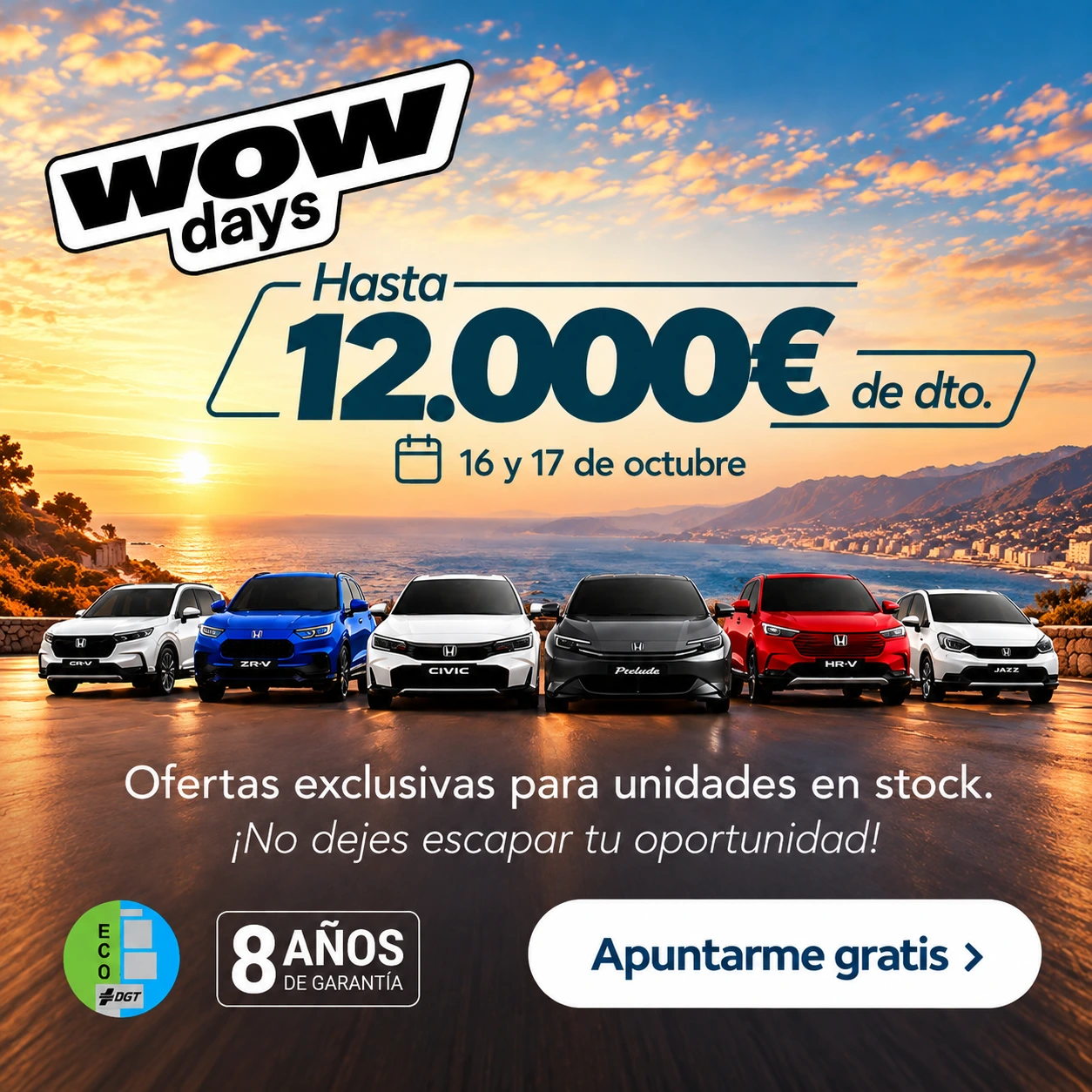 Banner 64 de campaña QUADIS