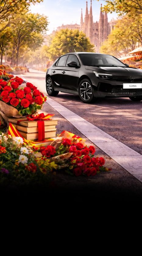 Entre rosas y libros, <br><strong>elige tu próxima historia</strong><span class="d-block">Tu Opel Corsa: sin entrada y sin preocupaciones</span>
            <span class="from d-block">Desde 283 €/mes</br><span class="IVA">(Con IVA incluido)</span>