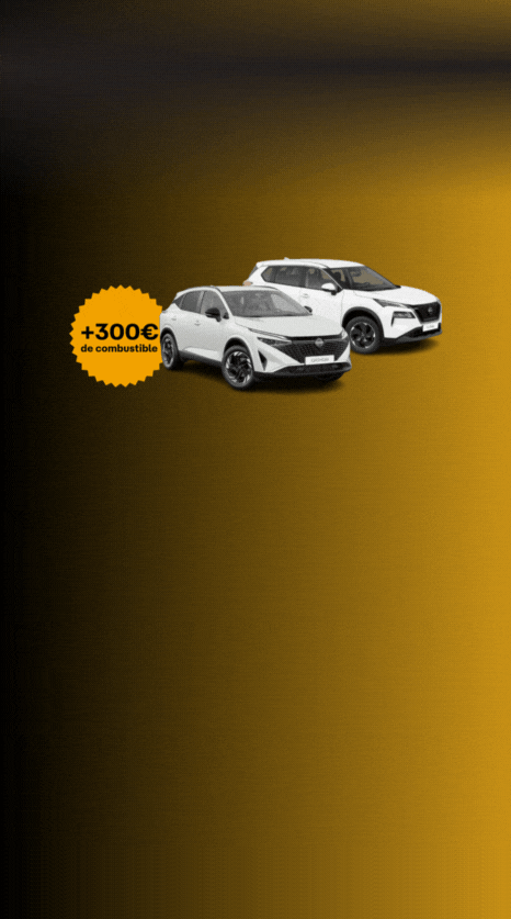 Empieza el año<strong> de la mejor manera</strong><span class="d-none d-lg-block">Tu renting con todo incluido, ¡y con 300€ de combustible!</span>
                                    <span class="from d-block">Desde 393 €/mes</br><span class="IVA">Aplicable a Nissan X-Trail y Qashqai N-connecta</span>