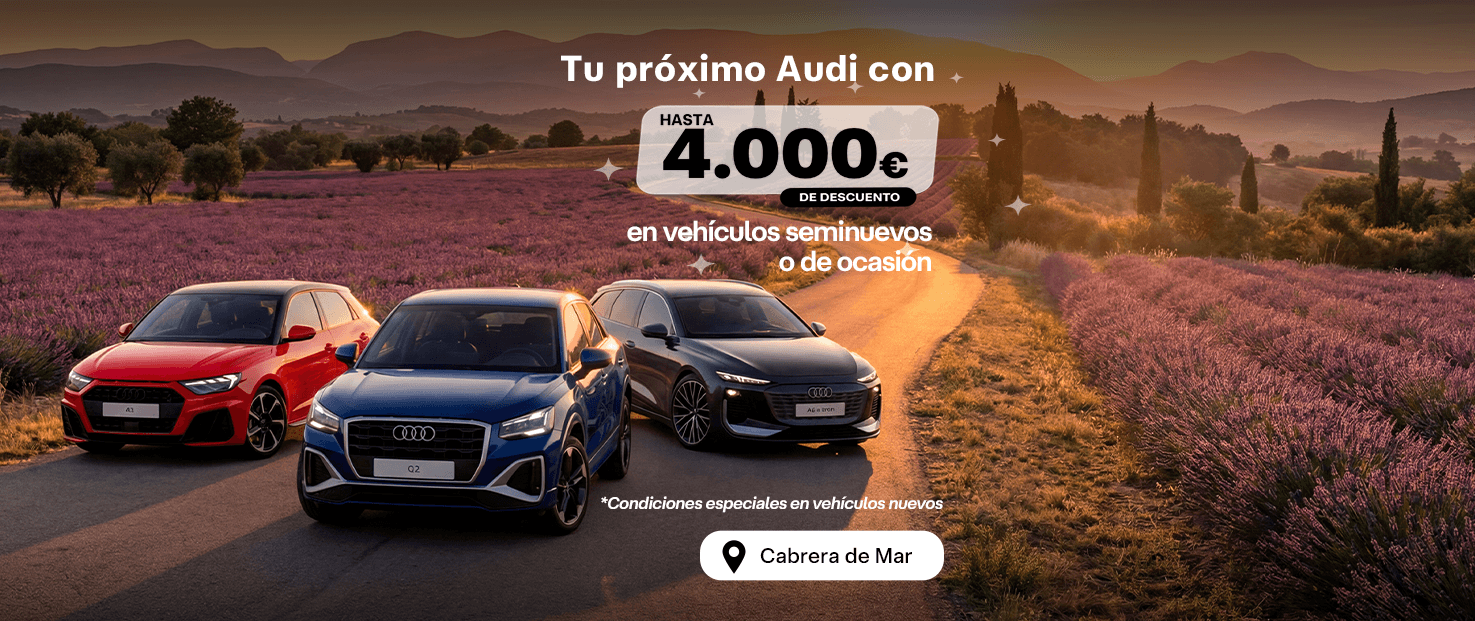WOW days QUADIS Motorsol Audi